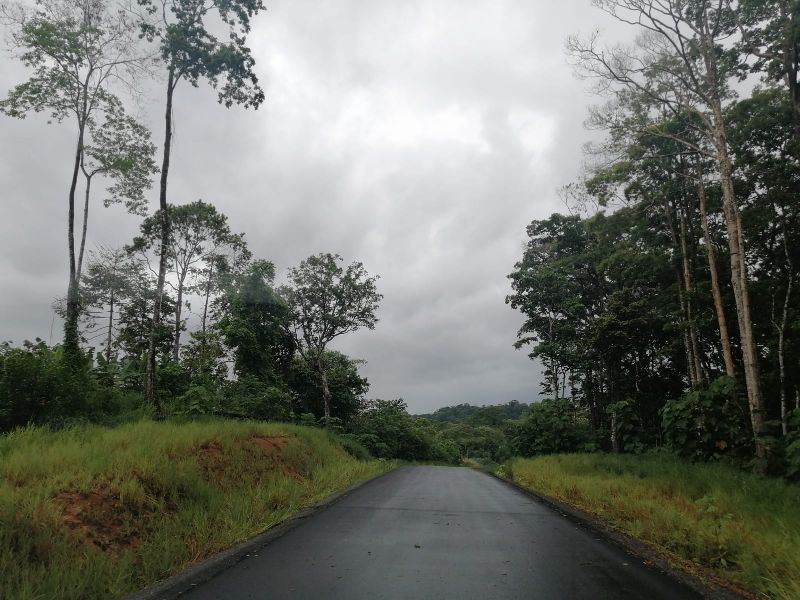 Imagen 531 del proyecto