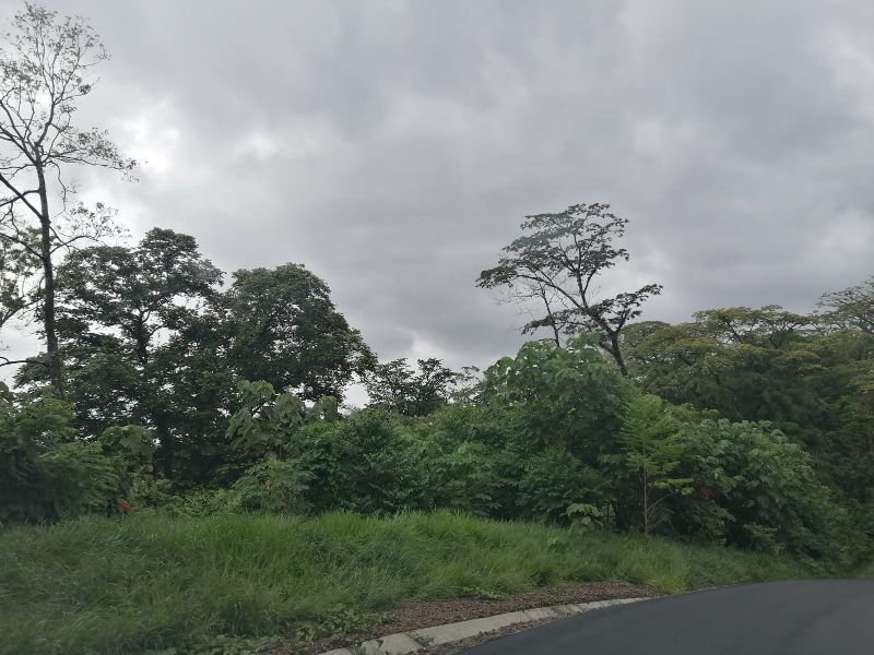 Imagen 532 del proyecto