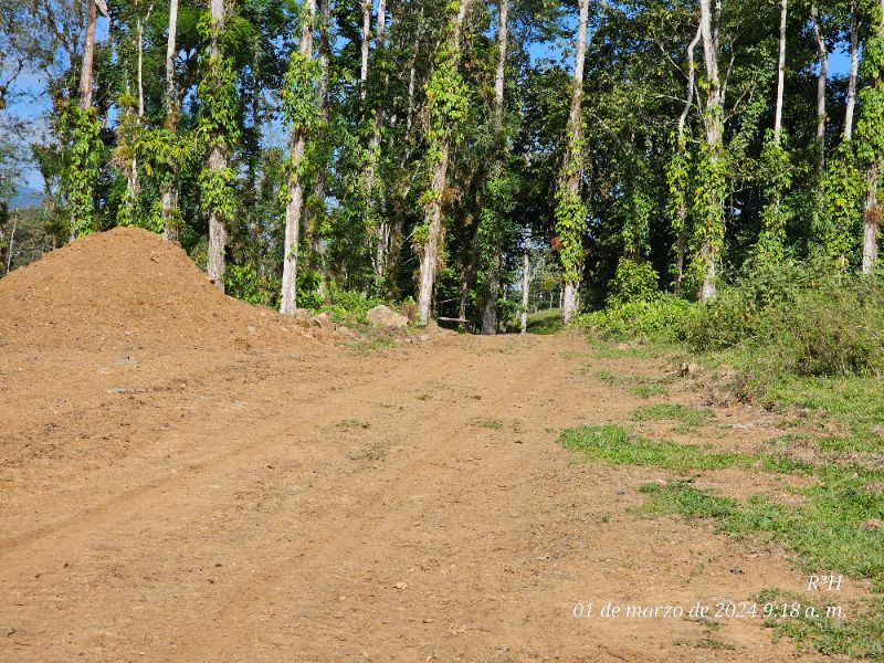 Imagen 8 del proyecto