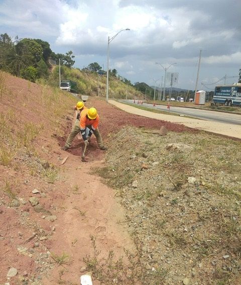Imagen 135 del proyecto