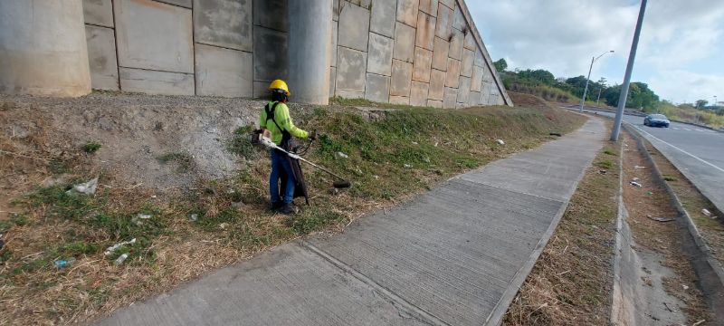 Imagen 143 del proyecto