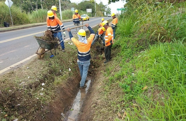 Imagen 144 del proyecto