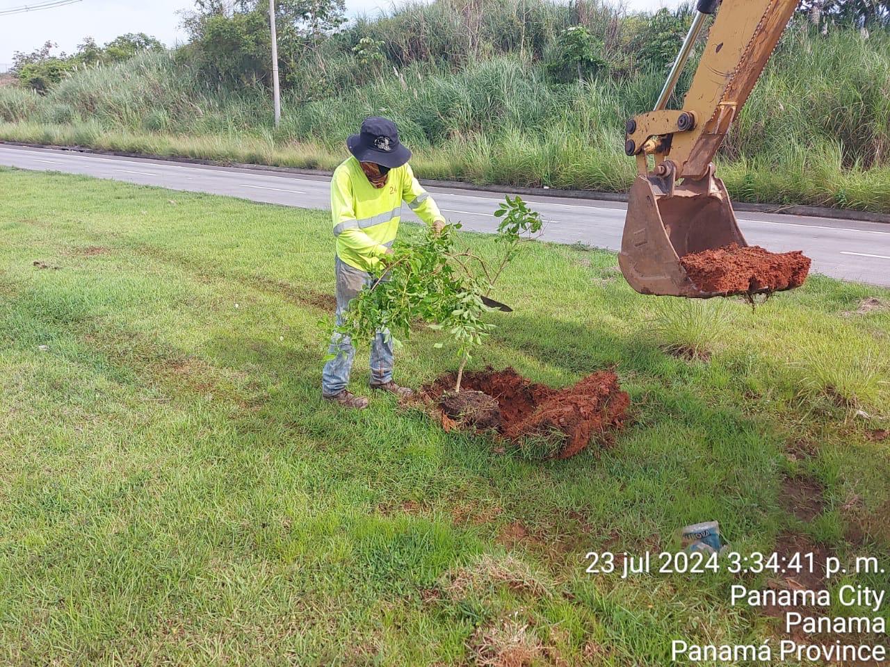 Imagen 152 del proyecto