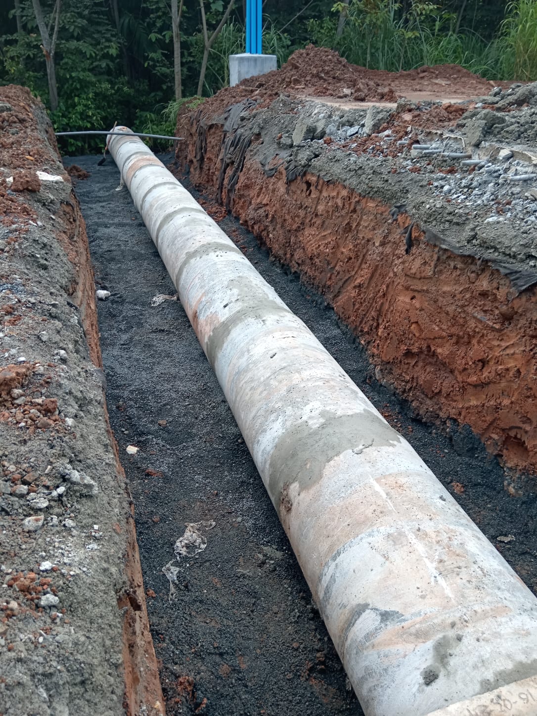 Imagen 495 del proyecto