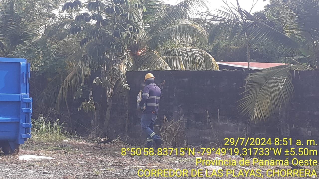 Imagen 203 del proyecto