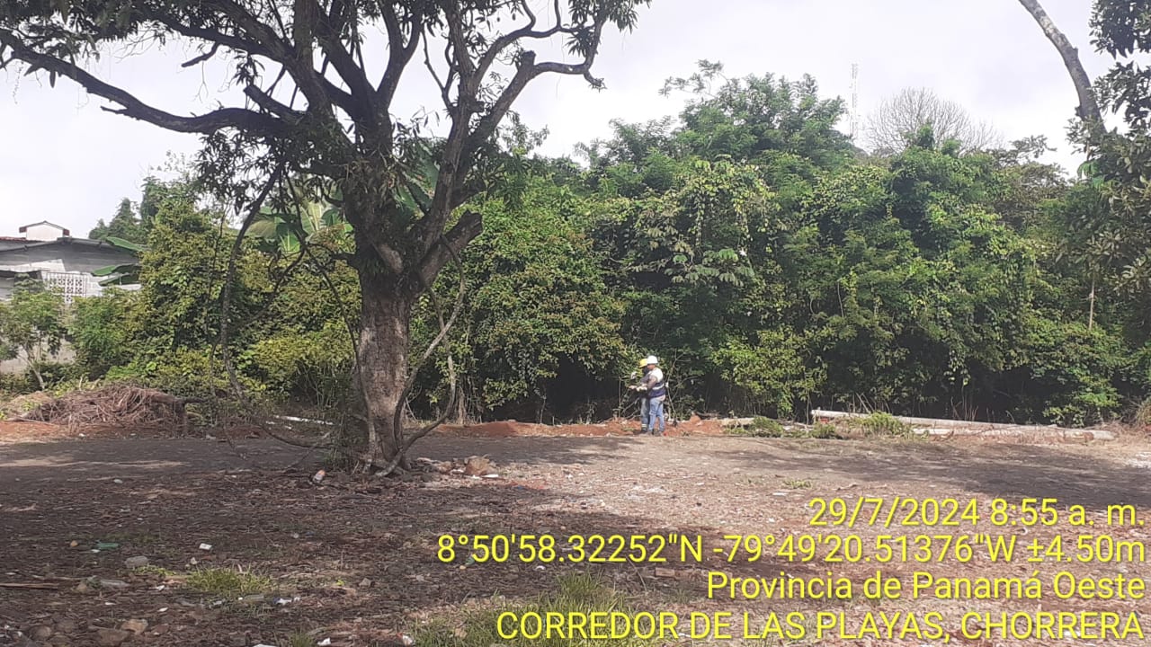 Imagen 204 del proyecto