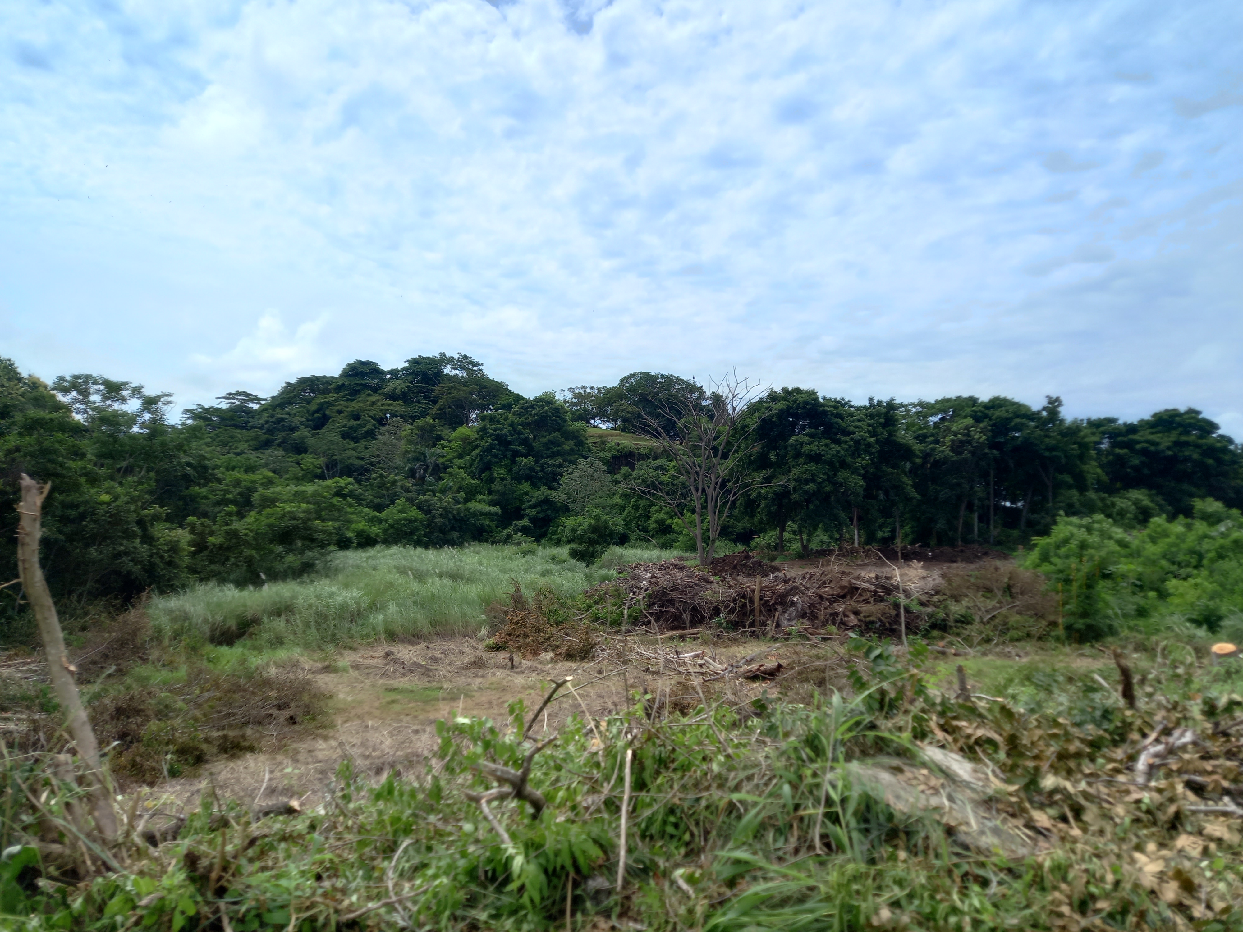 Imagen 37 del proyecto