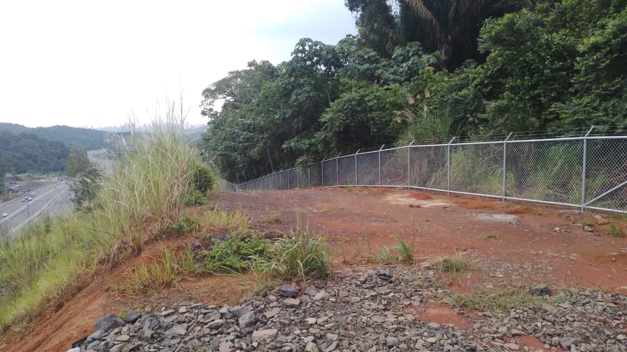 Imagen 504 del proyecto