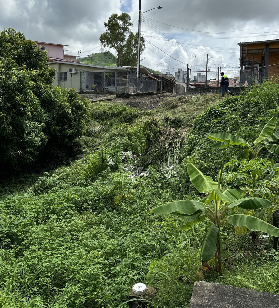 Imagen 9 del proyecto