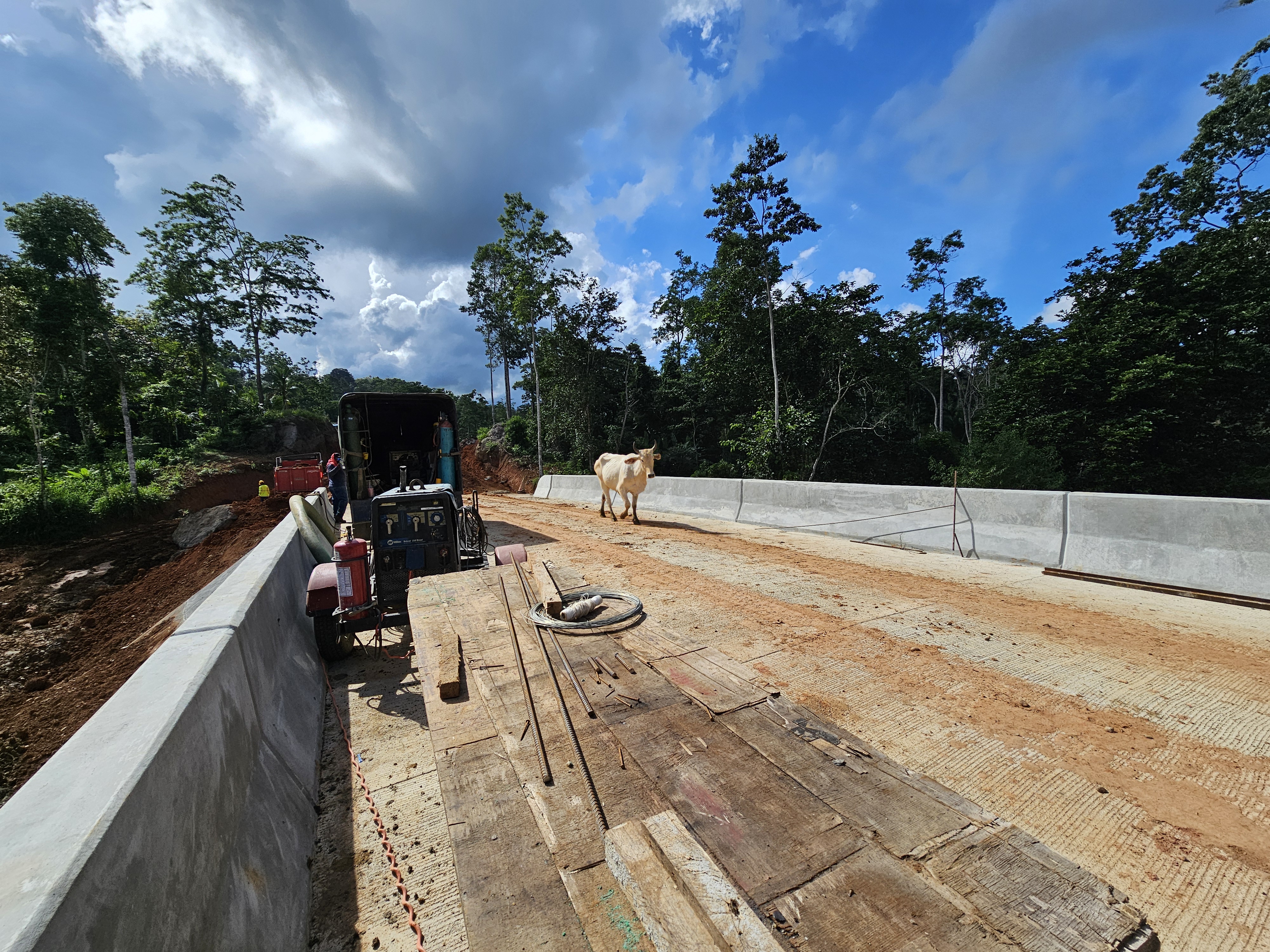 Imagen 184 del proyecto