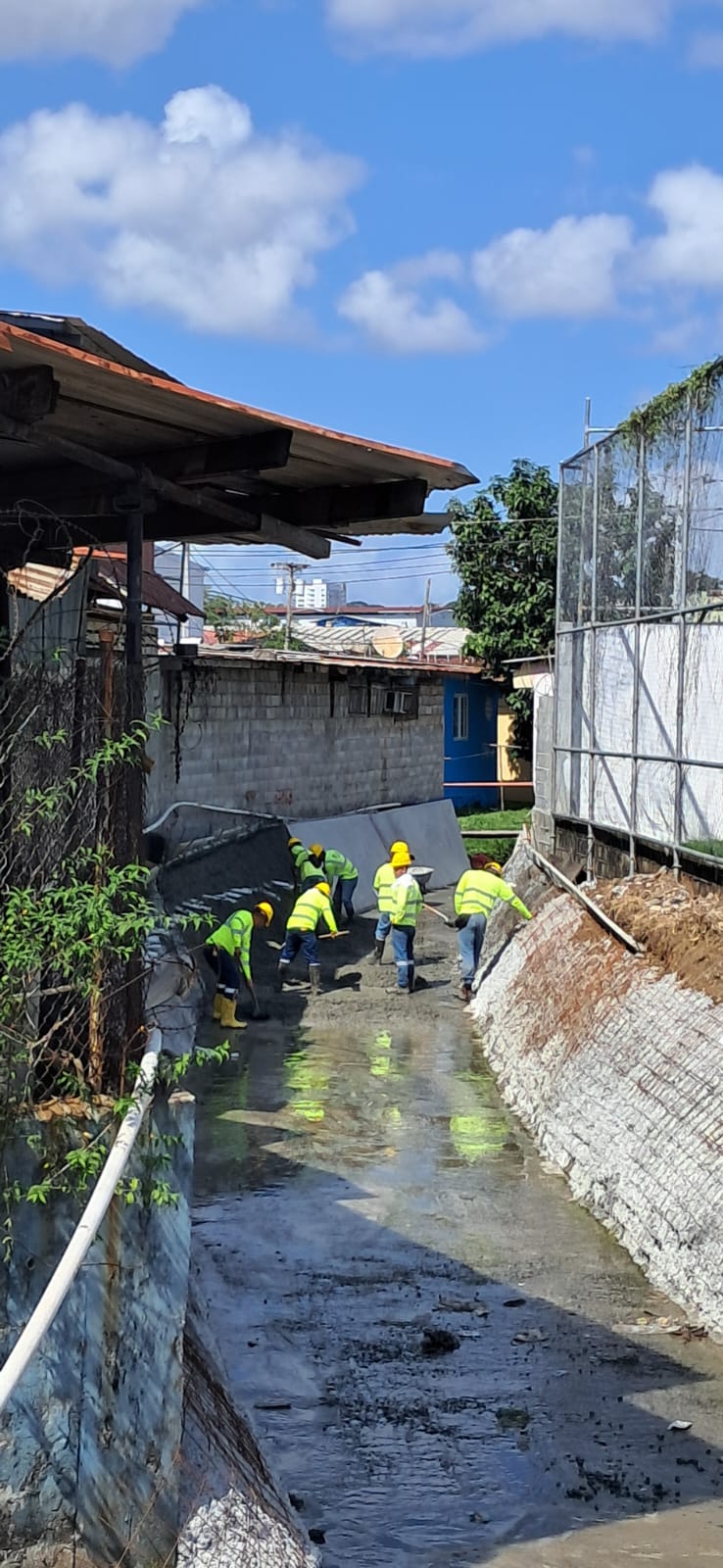 Imagen 9 del proyecto