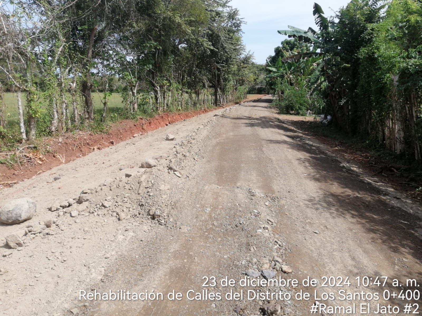 Imagen 12 del proyecto