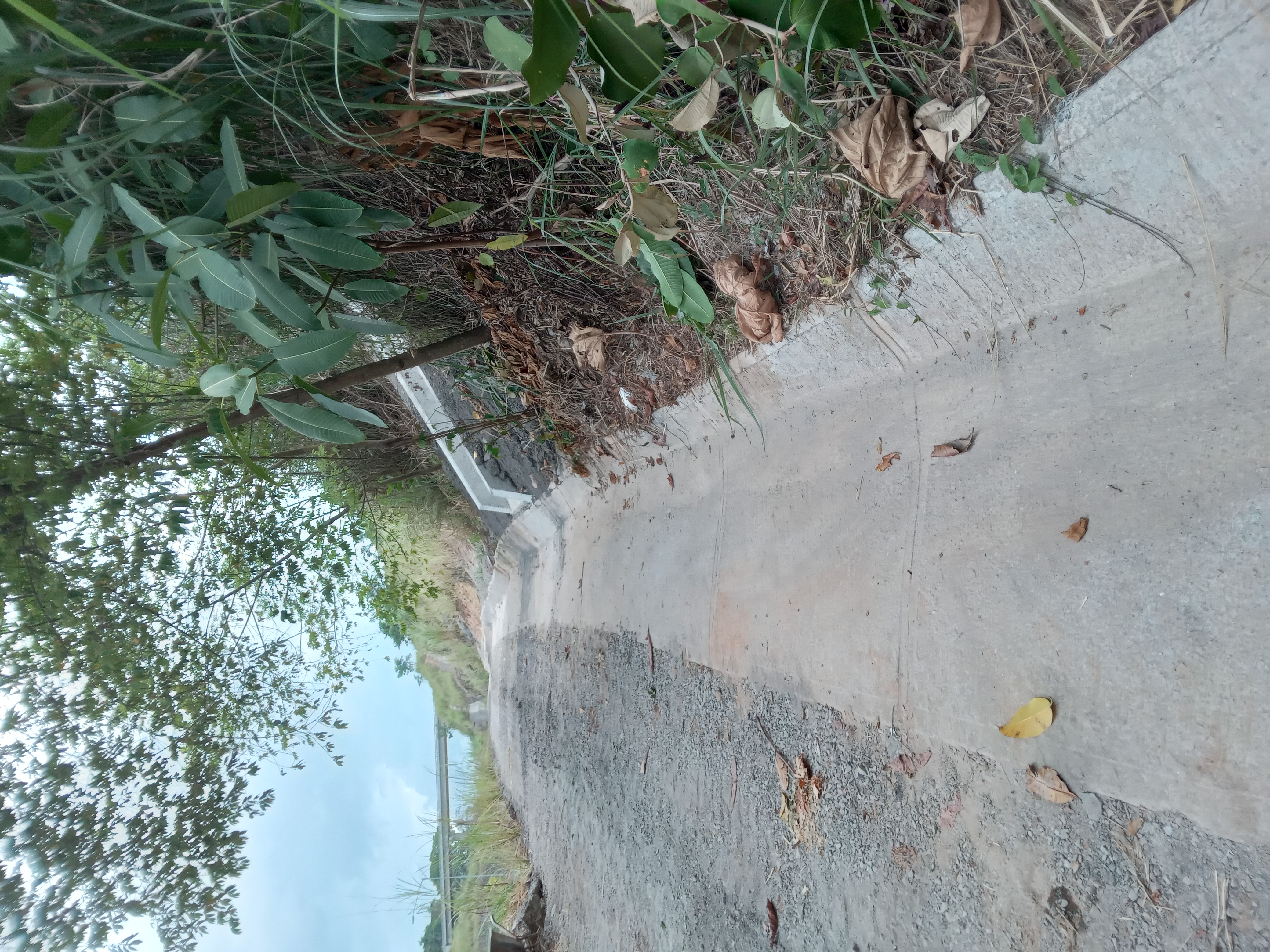 Imagen 521 del proyecto