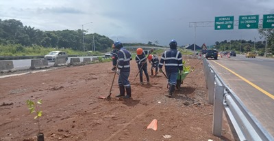 Imagen 535 del proyecto