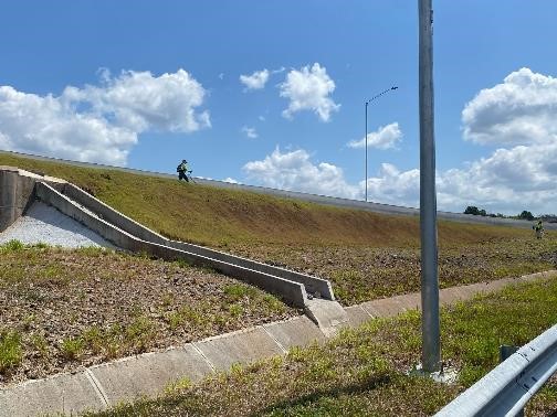 Imagen 540 del proyecto