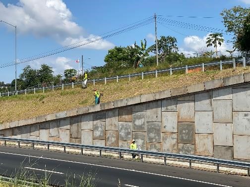Imagen 539 del proyecto