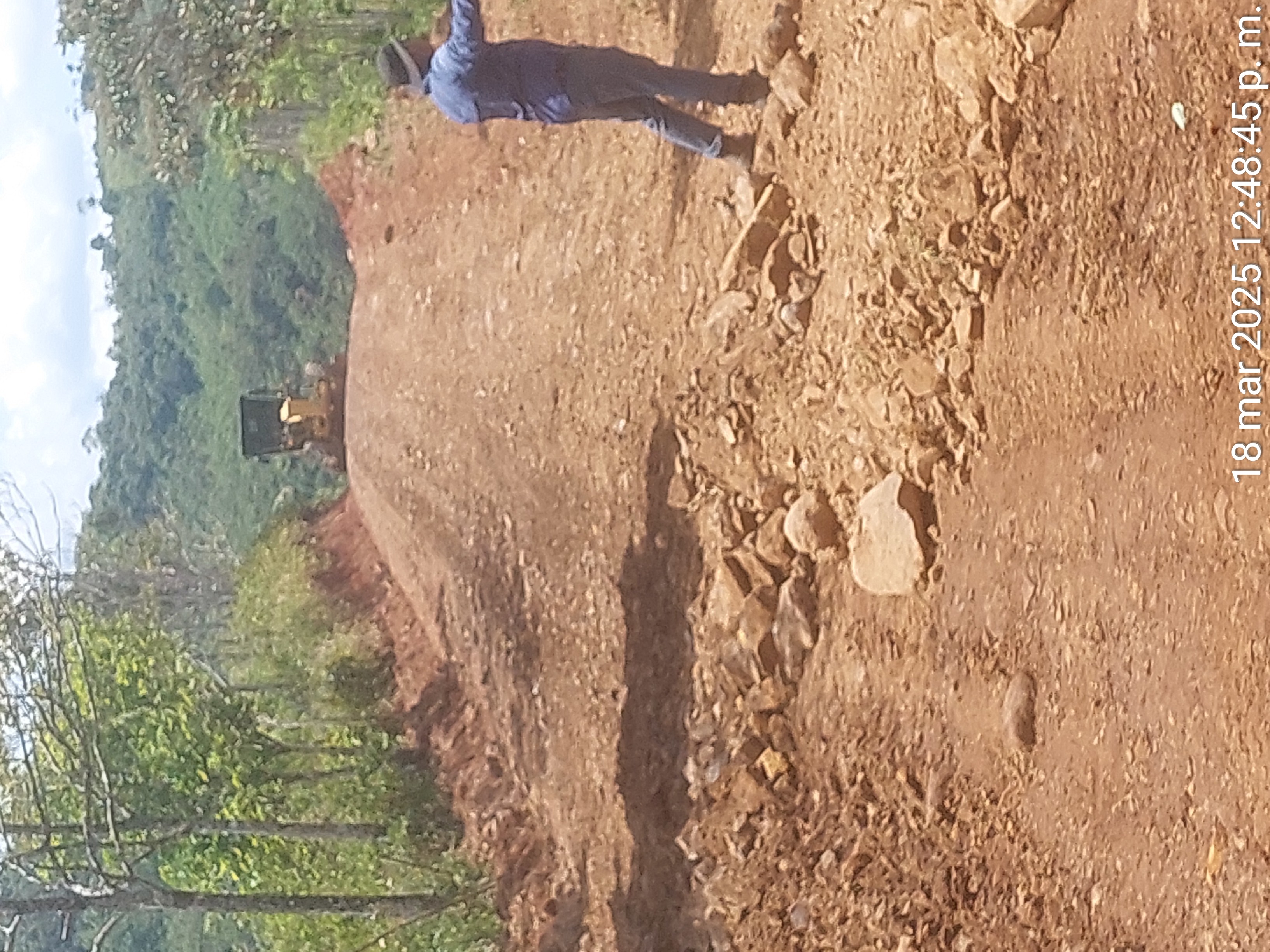 Imagen 39 del proyecto