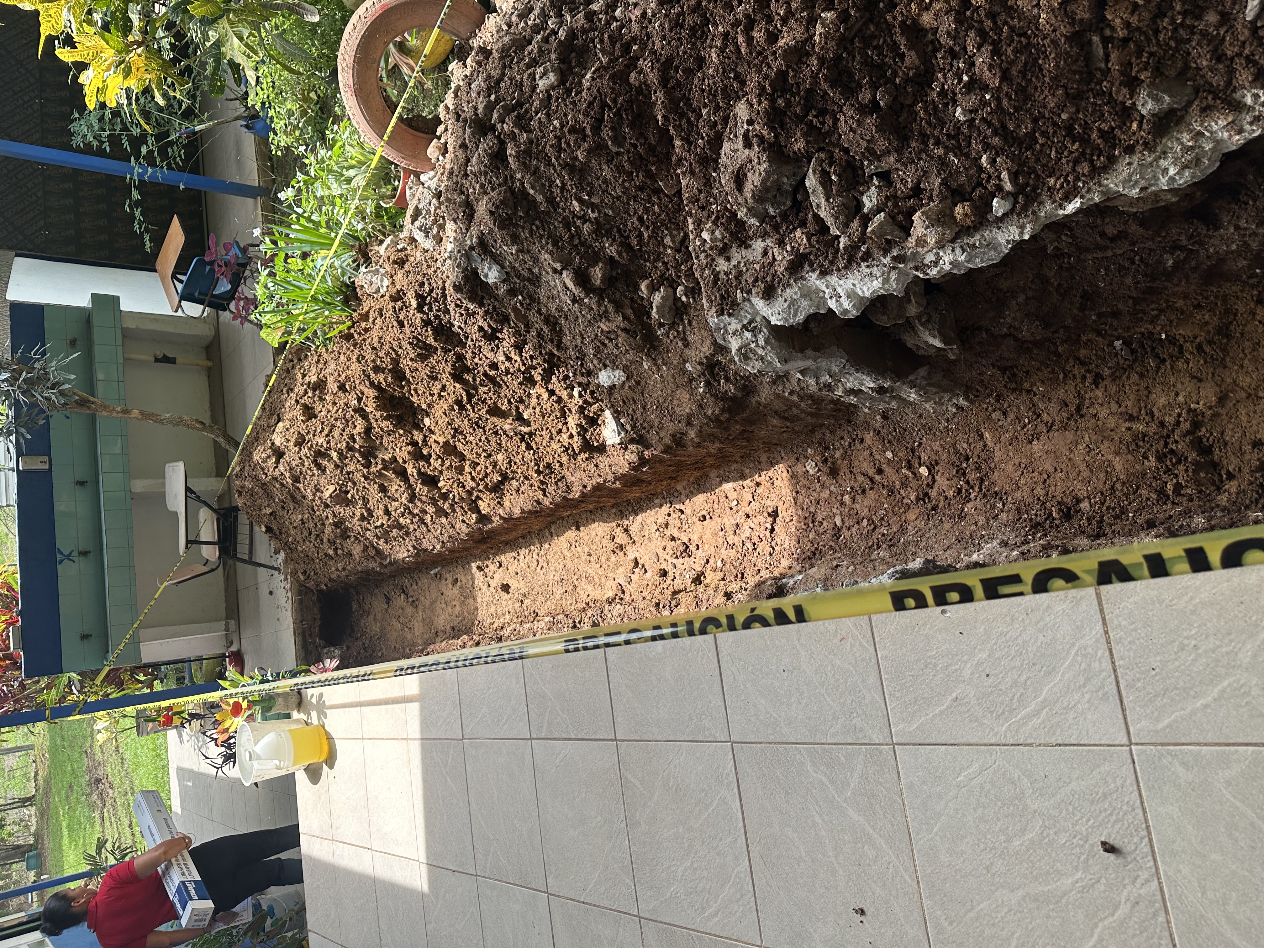 Imagen 3 del proyecto