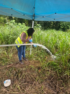 Imagen 8 del proyecto