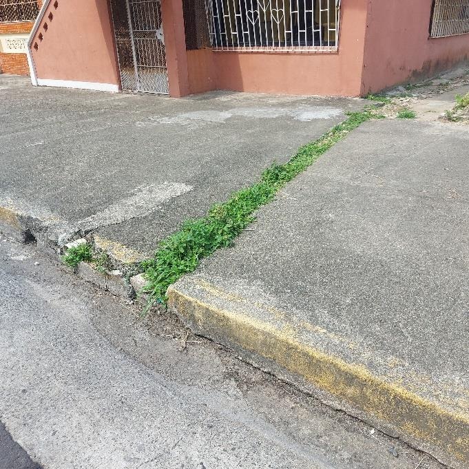 Imagen 2 del proyecto