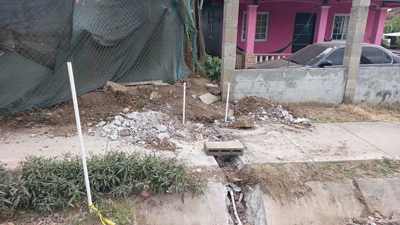 Imagen 3 del proyecto