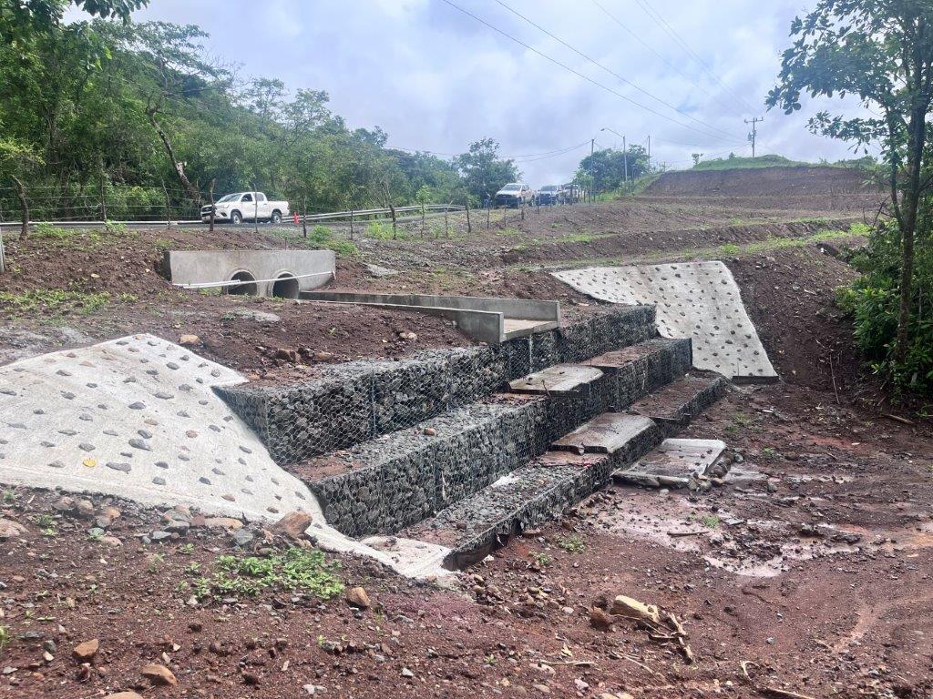 Imagen 1 del proyecto