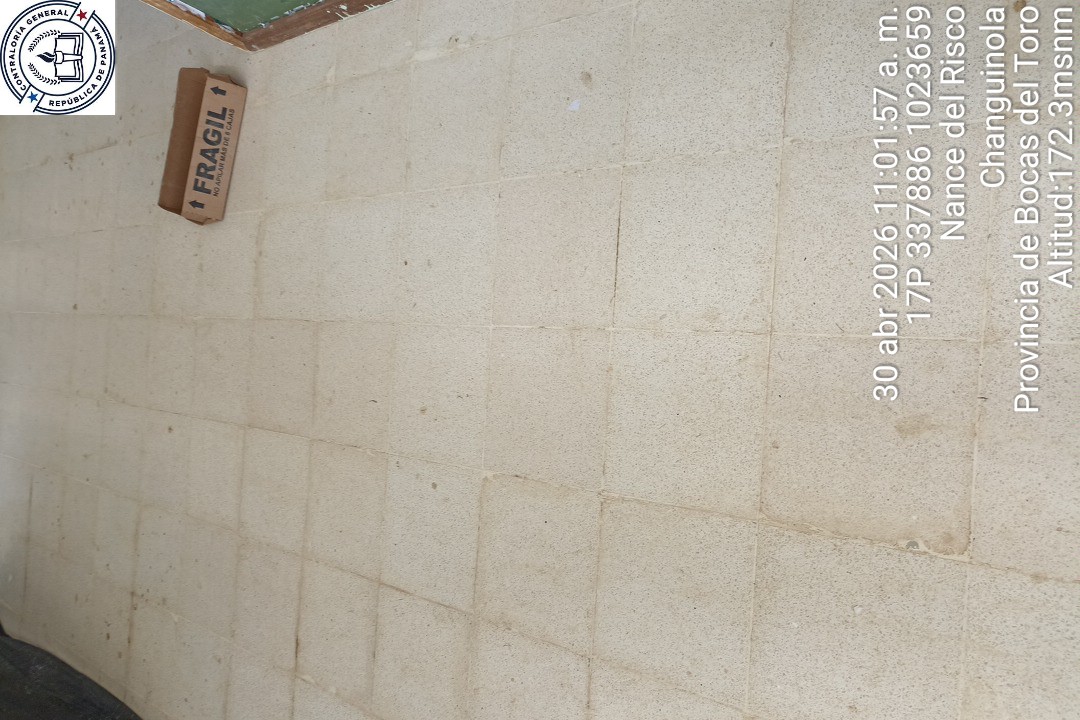 Imagen 17 del proyecto