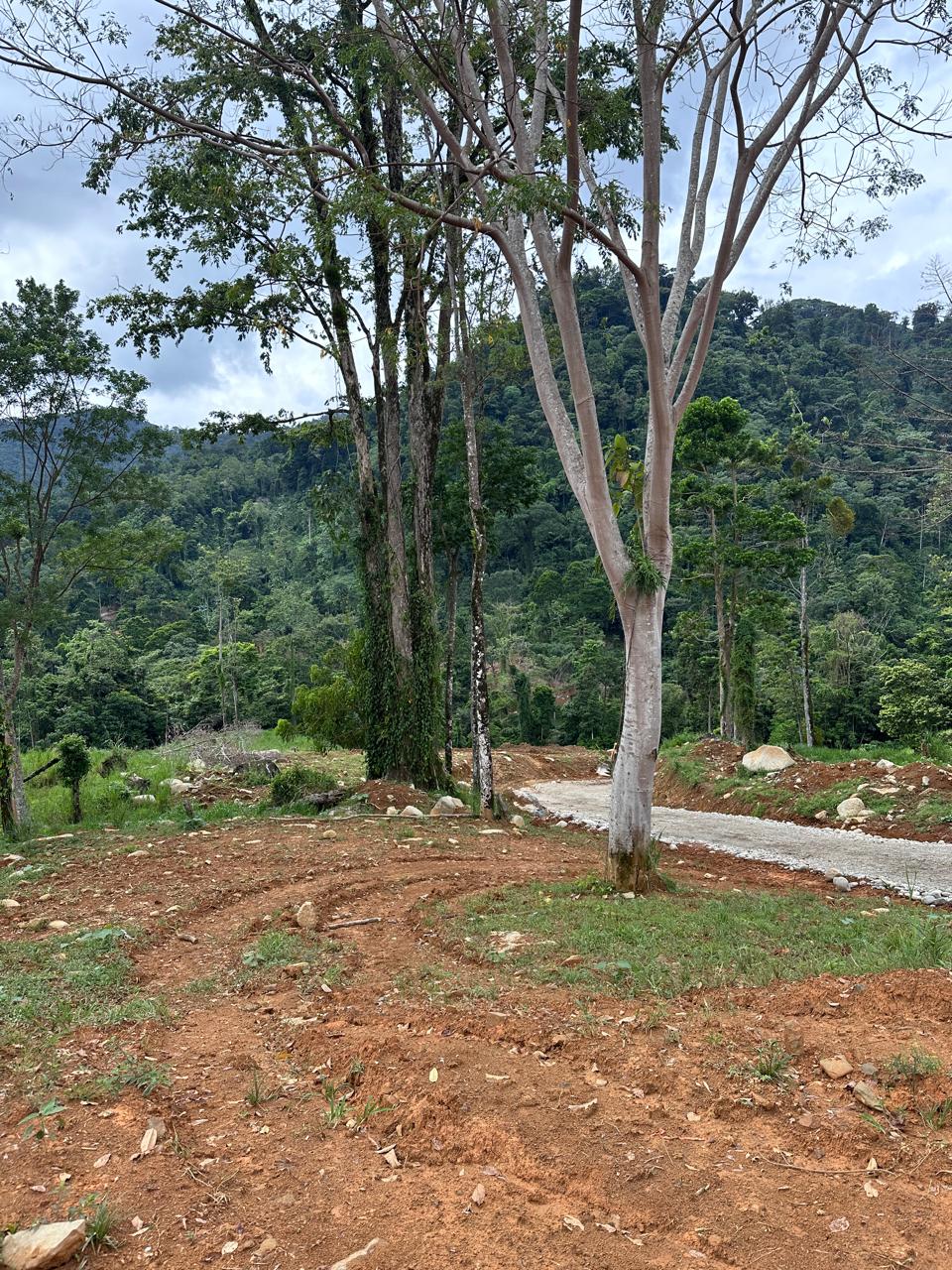 Imagen 23 del proyecto