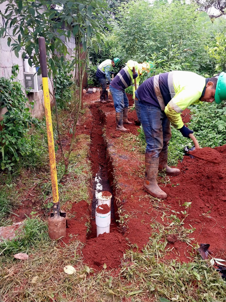 Imagen 8 del proyecto