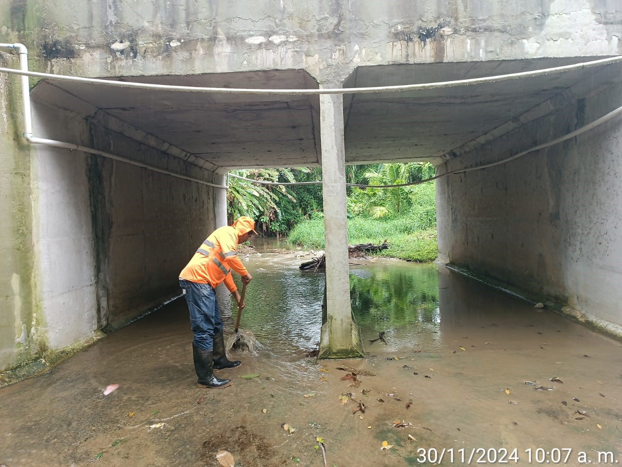 Imagen 100 del proyecto