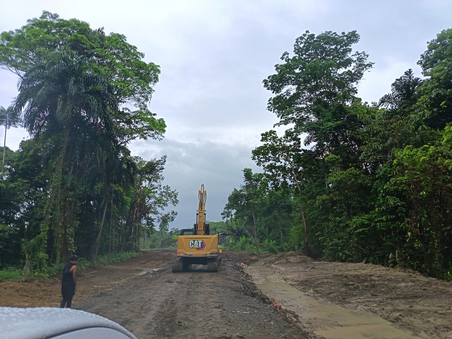 Imagen 248 del proyecto