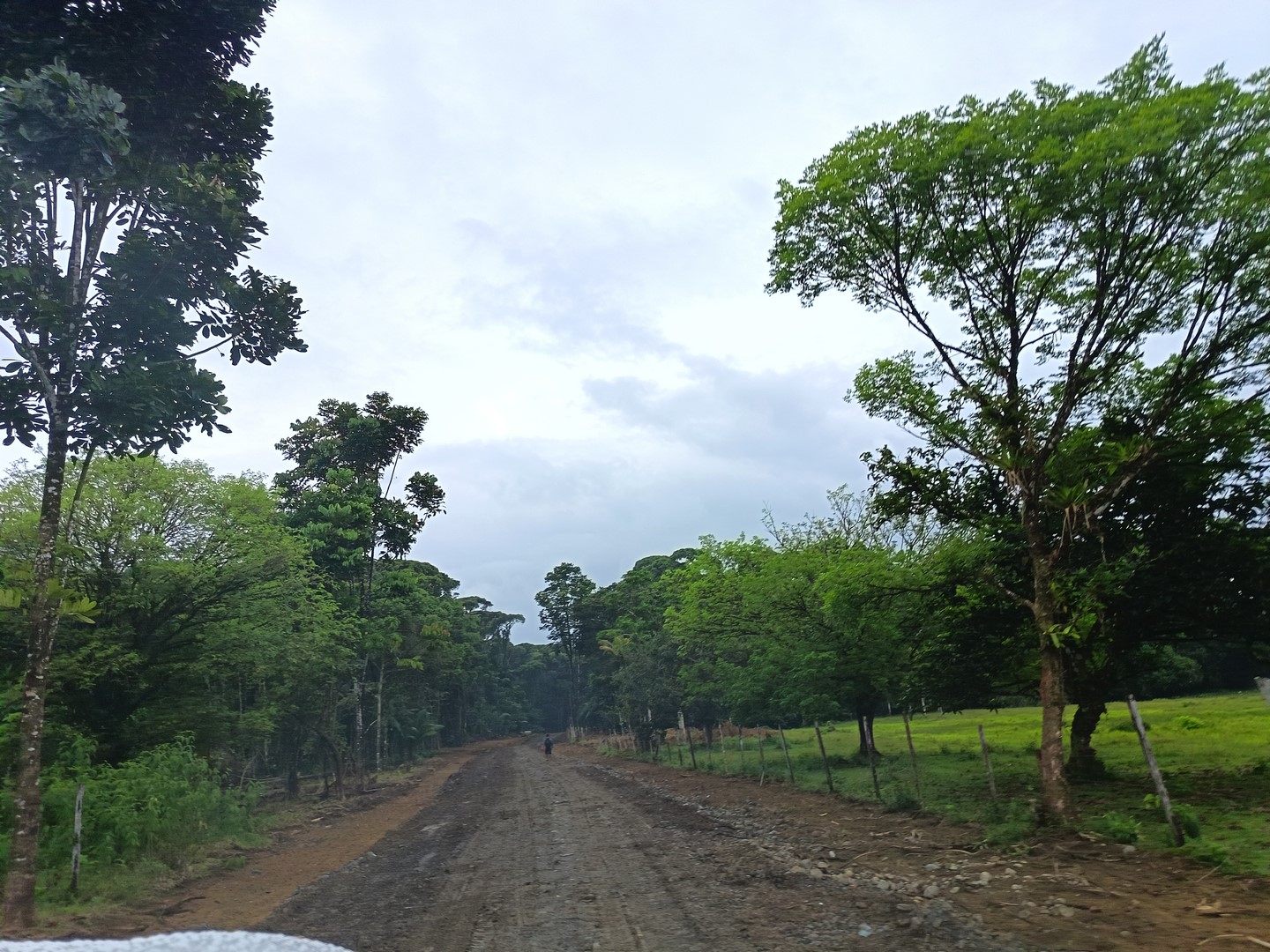 Imagen 247 del proyecto