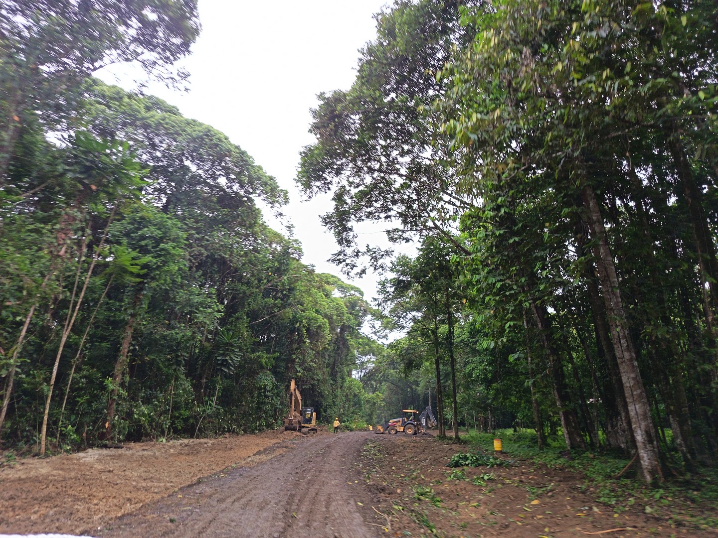 Imagen 245 del proyecto