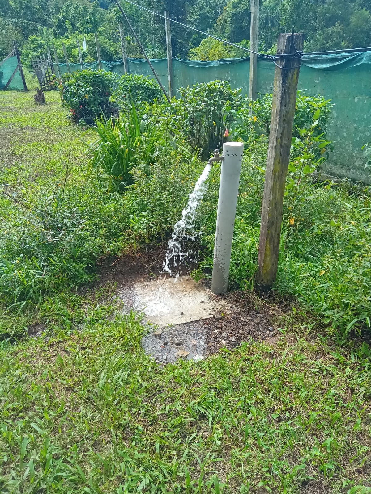 Imagen 26 del proyecto