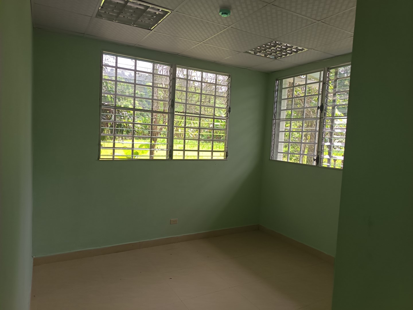 Imagen 21 del proyecto
