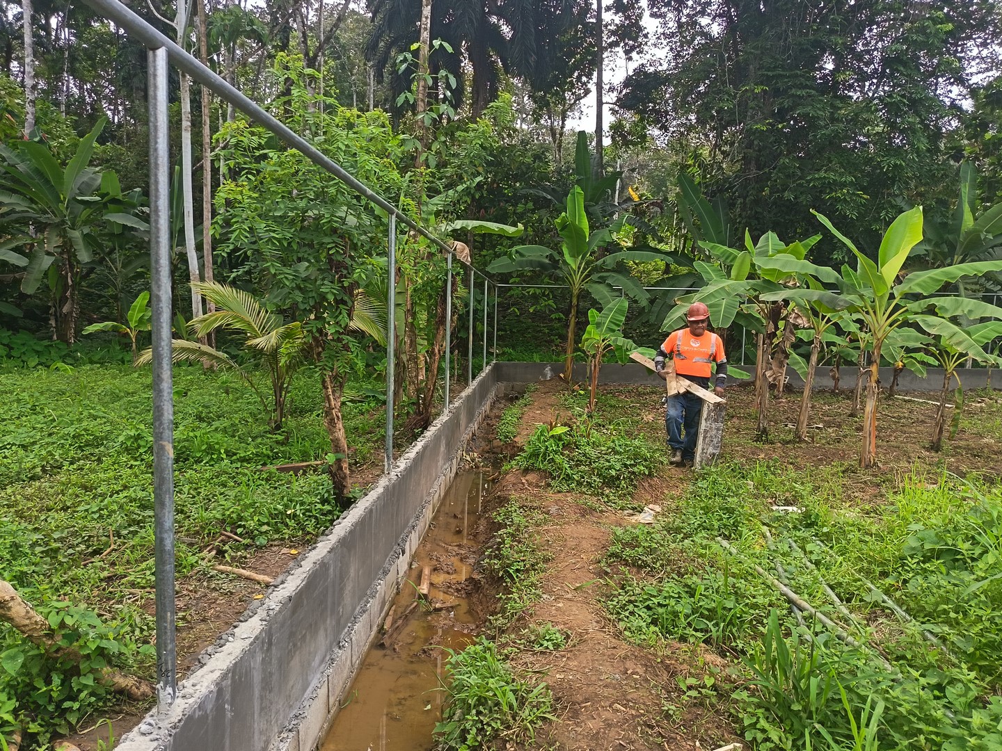 Imagen 29 del proyecto