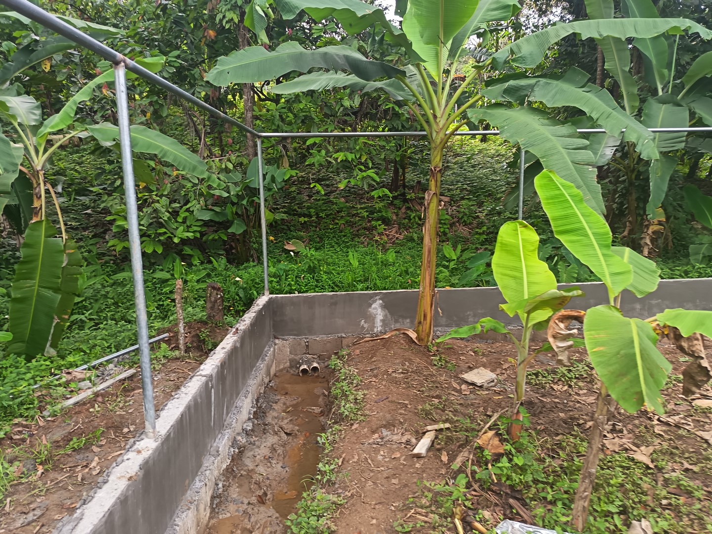 Imagen 26 del proyecto