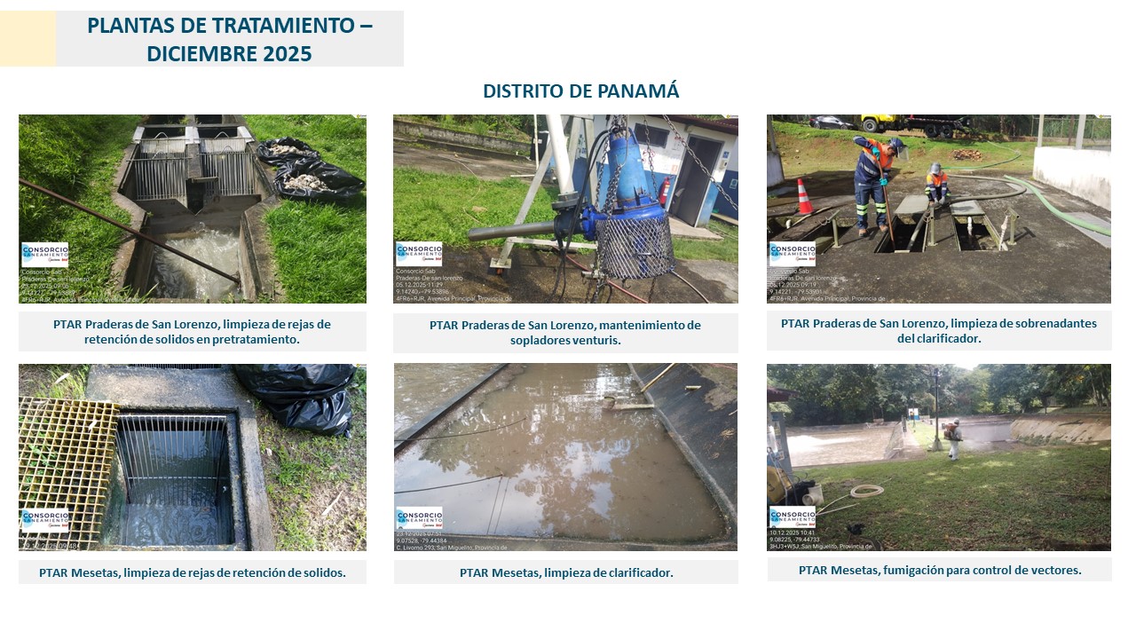 Imagen 3 del proyecto