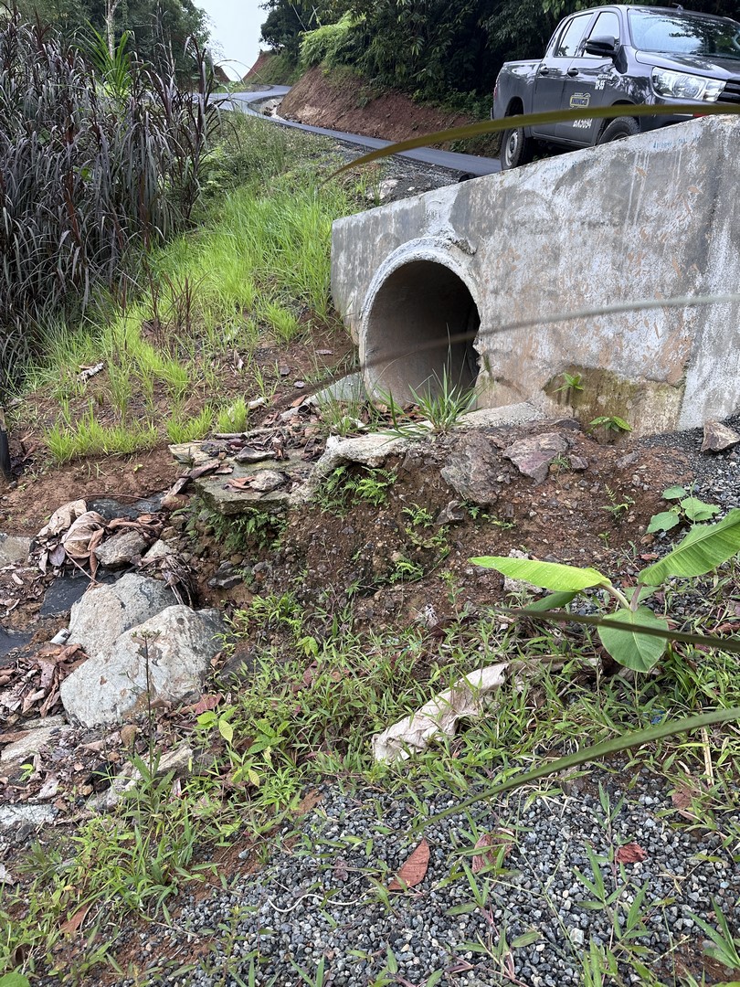 Imagen 2 del proyecto