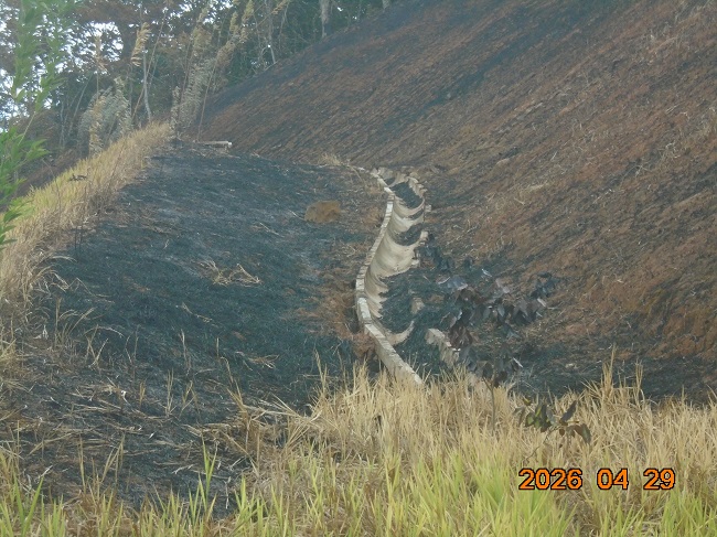 Imagen 4 del proyecto