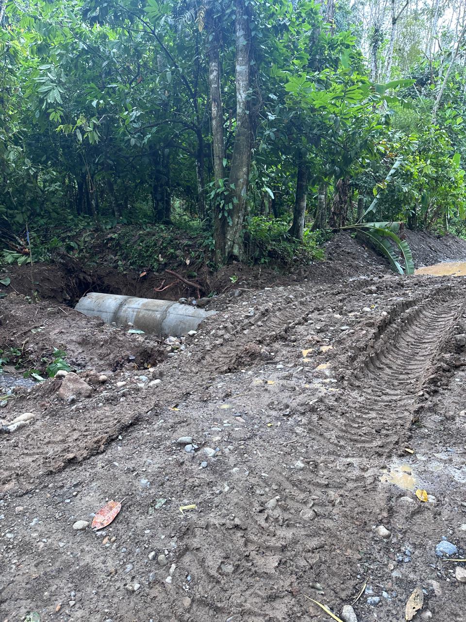 Imagen 55 del proyecto