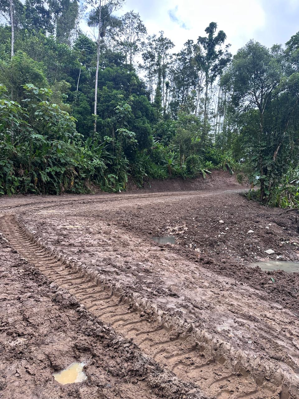 Imagen 57 del proyecto