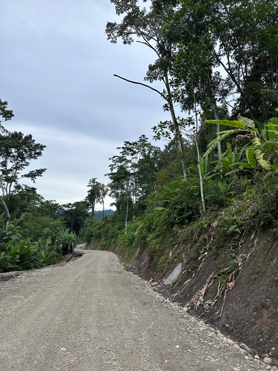 Imagen 88 del proyecto
