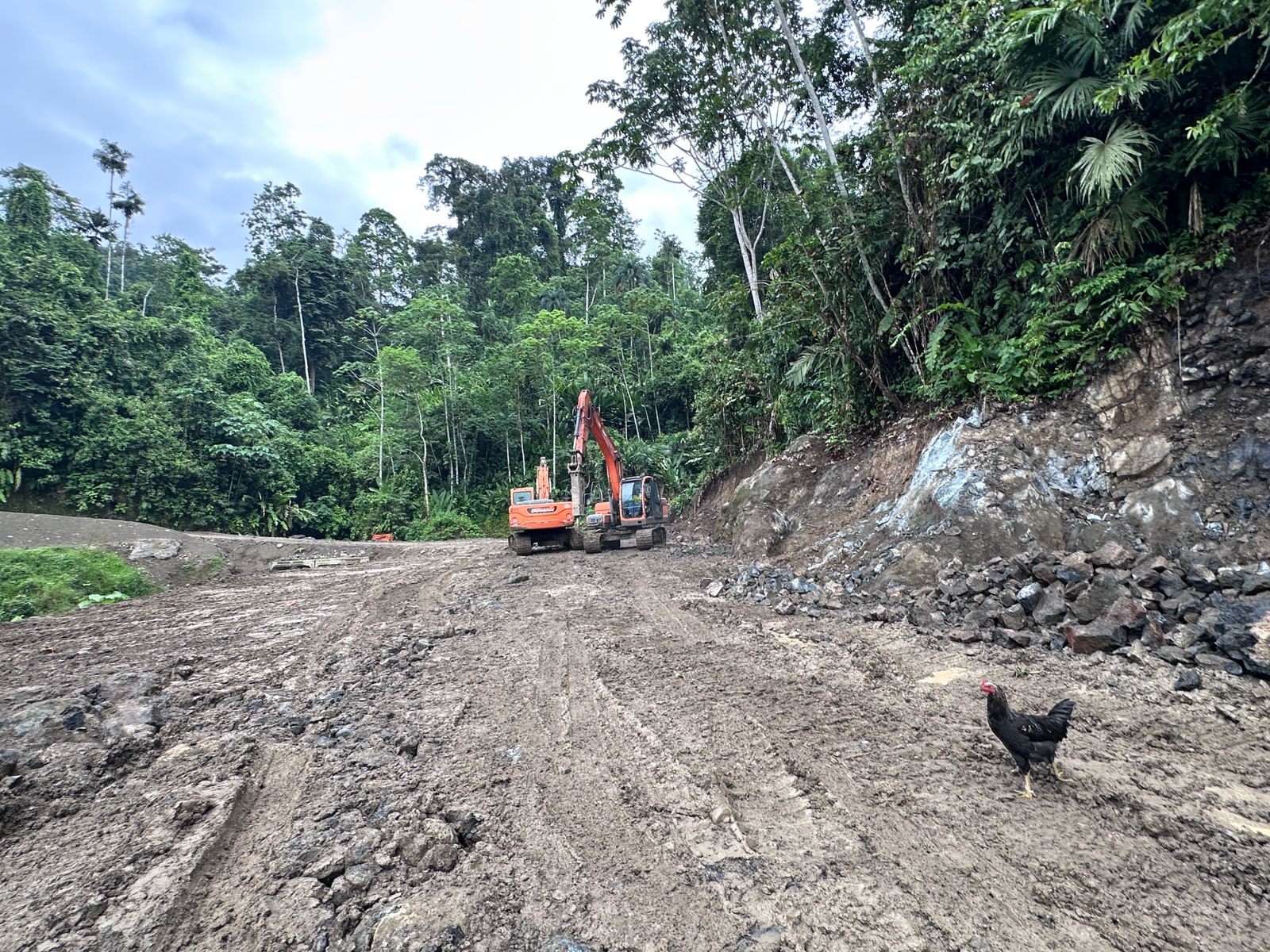 Imagen 118 del proyecto