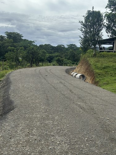 Imagen 133 del proyecto