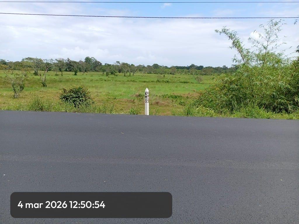 Imagen 187 del proyecto