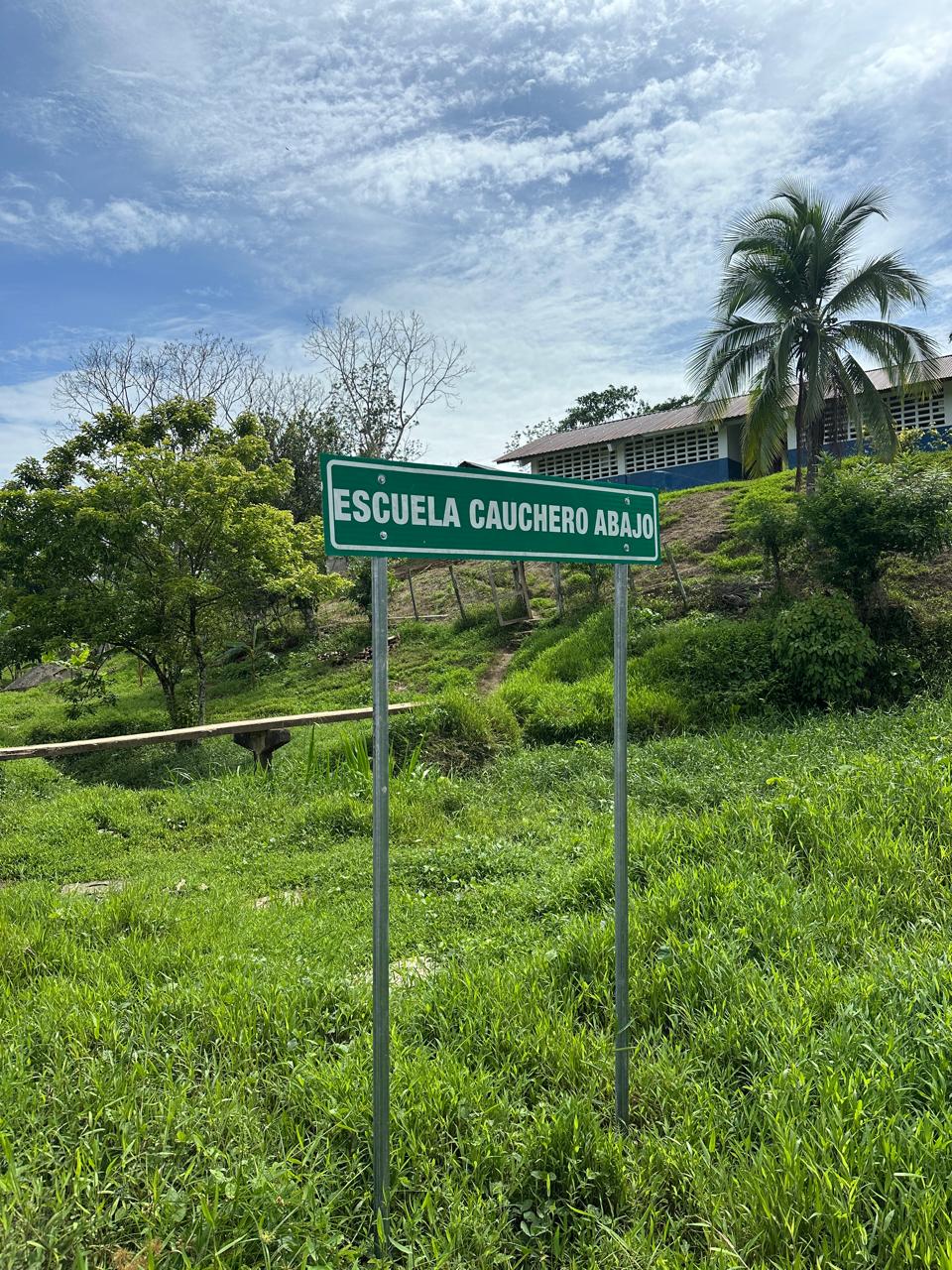Imagen 197 del proyecto