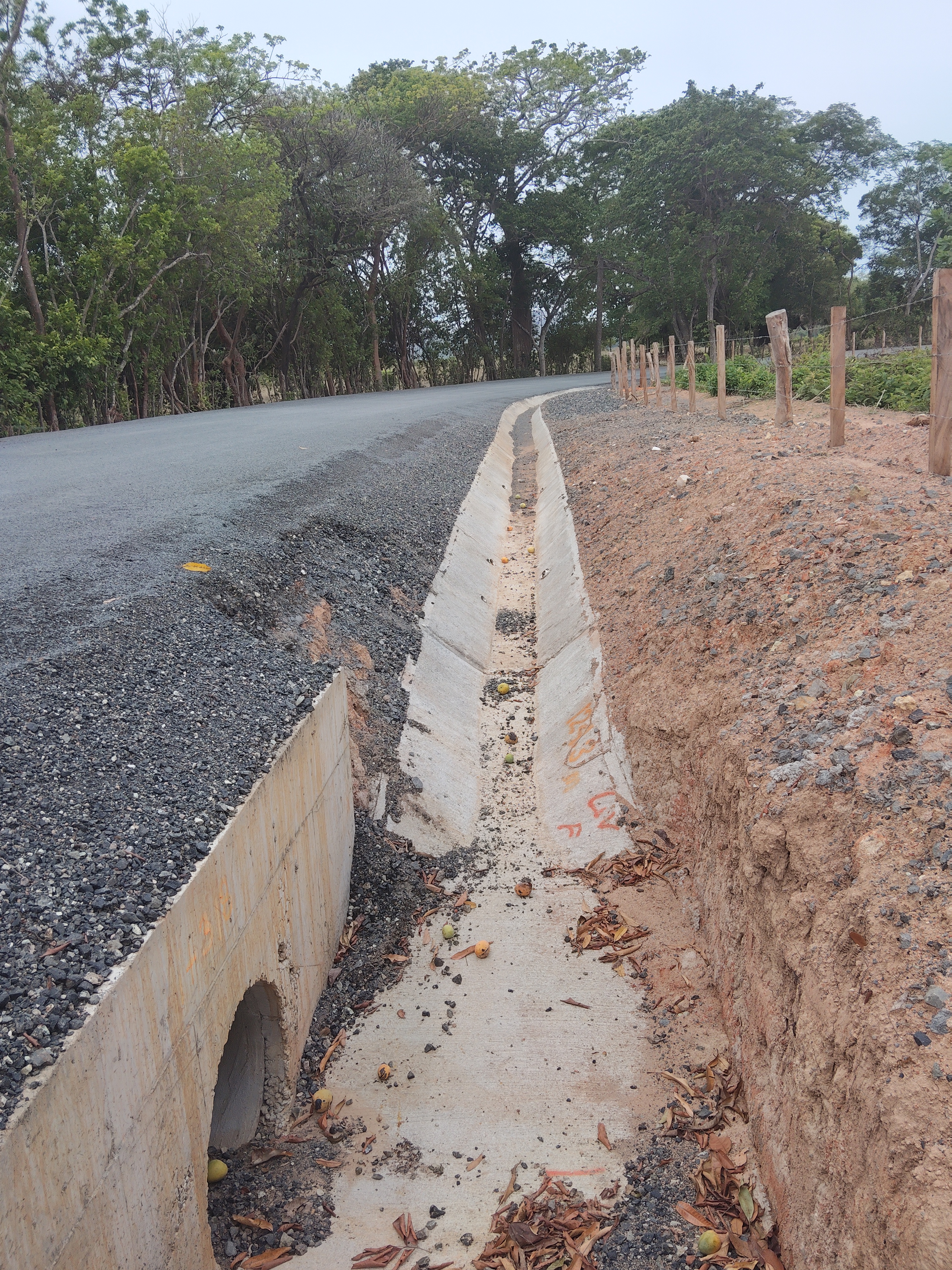 Imagen 89 del proyecto