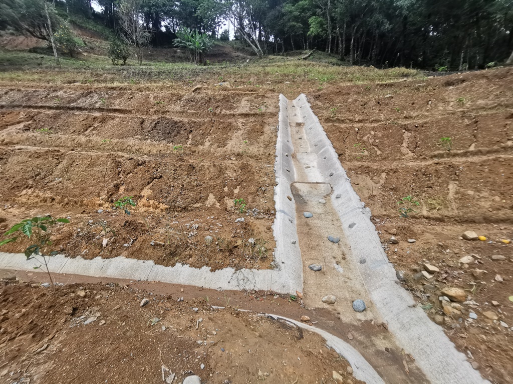 Imagen 5 del proyecto