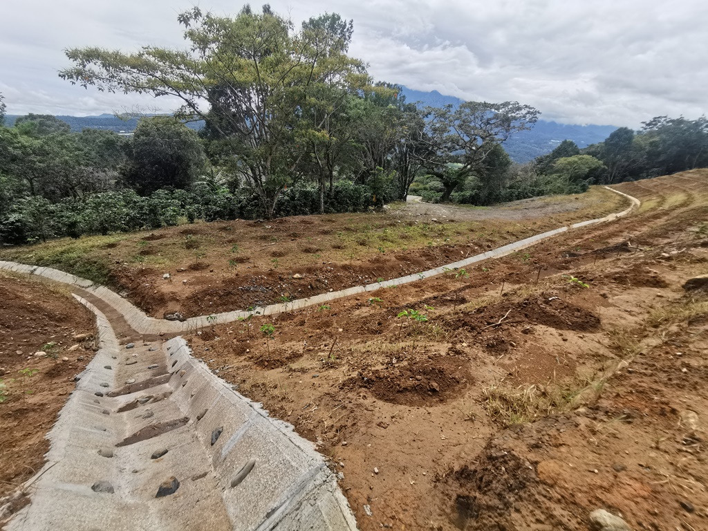 Imagen 4 del proyecto